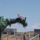 Image for article titled Meet Arizona's dilapidated roadside dinosaurs